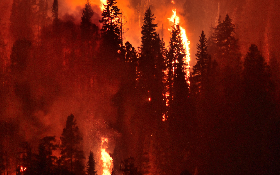 Que hacer si te has visto afectado por un incendio este verano